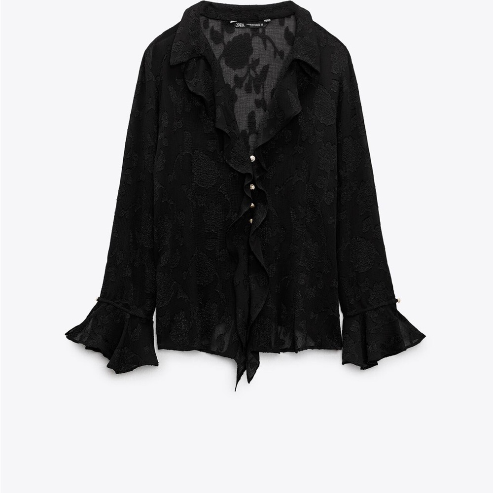 Zara sheer Button up